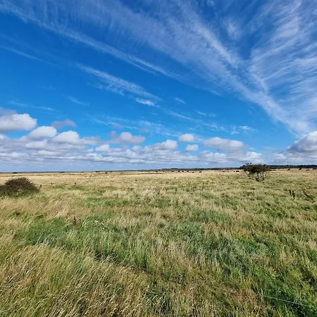 Prázdninový dům 8 Person In Hemmet